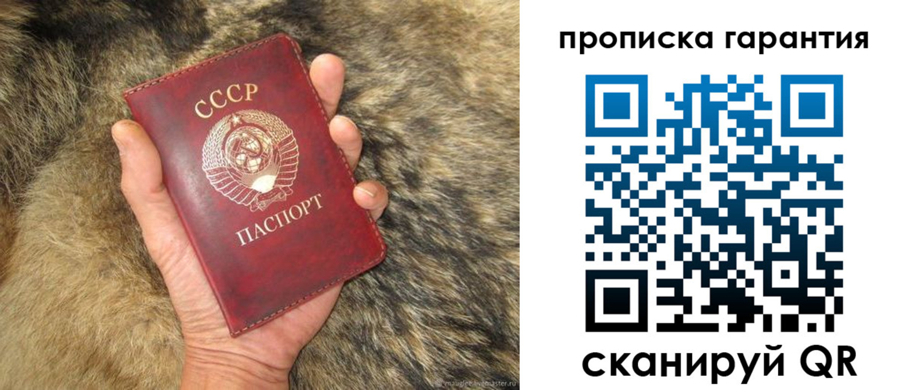 прописка паспорт в Болотном